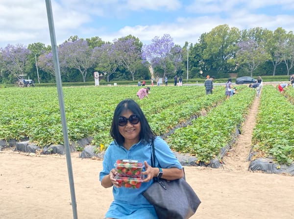 Leni picking strawberries in California.  May 2024 - Just before Cancer stopped her walking.